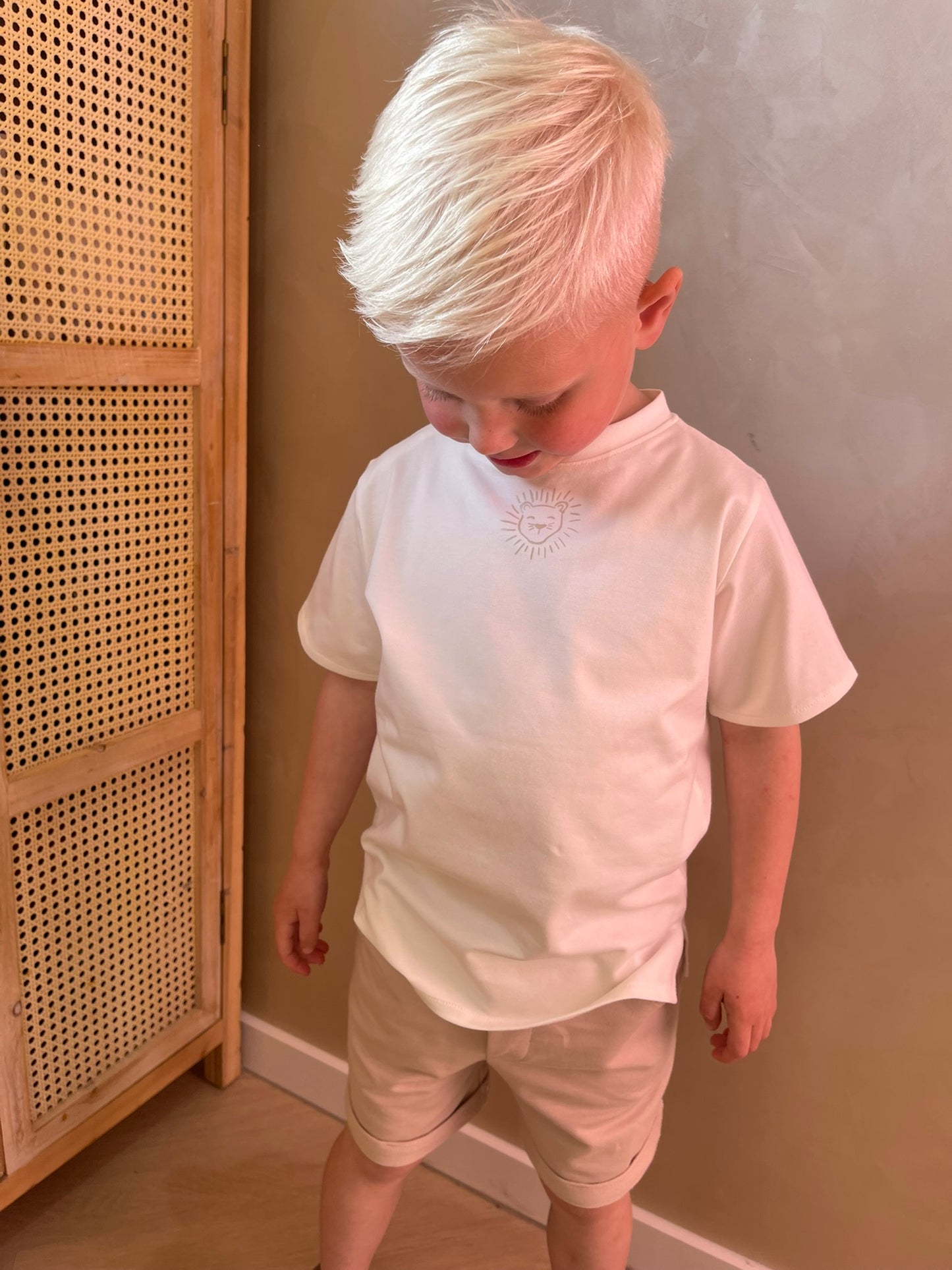 T-Shirt Loan
